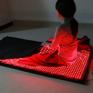 180Cm Kích Thước Lớn Ánh Sáng Màu Đỏ Điều Trị Túi Ngủ 360 Độ Đầy Đủ Cơ Thể Pain Relief Đứng Loại Với Chúng Tôi Cắm Hẹn Giờ Để Sử Dụng Nhà - Product Image 2