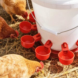 Bebederos automáticos para aves de corral como pollos, patos, gansos, palomas y codornices. - Product Image 2