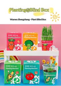 Boîte mystère <span class=keywords><strong>de</strong></span> plantes en pot en plastique pour enfants <span class=keywords><strong>de</strong></span> <span class=keywords><strong>maternelle</strong></span> – Petits cadeaux pour les 7-12 ans, utilisation créative sur bureau - Product Image 4