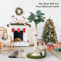 Poteaux à gratter pour chat en bois avec corde en sisal et jouet pour chat en forme de balle suspendue, arbre à chat d'intérieur de luxe