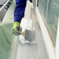 Revêtement d'étanchéité en polymère acrylique liquide pour toiture pour construire un design moderne, une utilisation intérieure/extérieure durable et écologique