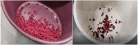 Trieuse optique de cerises de café Wenyao Compacte à haute précision (99,99 %) avec technologie d'apprentissage profond IA, capacité de 1 à 3 tonnes/heure