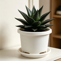 Pots de plantes en plastique PP durables en gros avec trous de drainage, design respirant, capacité de 1,99 L, style moderne pour usage intérieur/extérieur