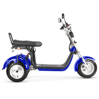 Trike Listrik Citycoco 1000W Berdaya Tinggi untuk Dewasa, Skuter Listrik 3 Roda dengan Baterai Lepas Pasang & Ban Lebar