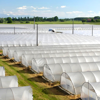 Séchoir agricole solaire à simple travée avec film PE pour le séchage des bananes