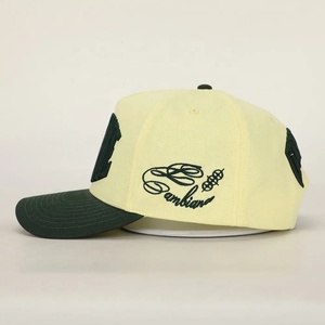 Custom Unisex 5 Panel <b>Waterproof</b> Cotton 3D Embroidery Fruit Pattern Baseball Cap Wholesale Structured Sports Formal Dad <b>Hat</b> - Product Image 5
