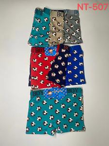 2025 Hete Verkopende Gemengde Ontwerpen Stocklot Ondergoed Goedkope Jonge Jongen Jongens Slipje Boxer - Product Image 4