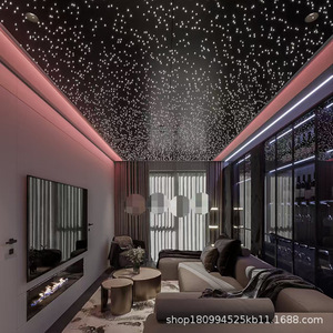 LED Fiber <b>Optic</b> Lights 1.0mm Diameter Water Resistant For Starry Sky Ceiling Home Theater <b>Bar</b> Restaurant - Product Image 1