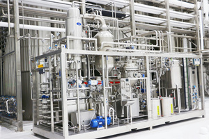 उच्च शक्ति लैक्टोबैसिलस कैसिनी cfm419 स्वास्थ्य पूरक के लिए प्रोबायोटिक्स पाउडर कच्चे माल - Product Image 6