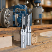 Vente chaude 10mm CNC solide à Double tranchant rainure droite fraise professionnelle à deux cannelures mèche pour le travail du bois OEM