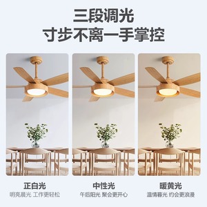 Modern Minimalist <b>Ceiling</b> <b>Fan</b> Light With Led Integrated Silent For Living Room And Dining Room Fixed Blade 50000 Hours Lifespan - Product Image 5