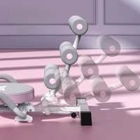 Appareil de fitness multifonctionnel pour abdominaux à domicile, équipement de perte de poids, machine abdominale d'intérieur, roue abdominale