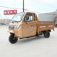 Tricycles de fret à essence 250cc de luxe, neufs, pour adultes, exportés par l'usine chinoise