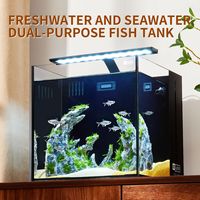 Aquarium de bureau en verre ultra-blanc pour eau de mer avec filtre et écumeur – Vente en gros
