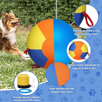 Balle géante pour chien, balle de berger géante, durable, résistante aux déchirures, gonflable, grande balle avec housse et pompe pour le jeu et l'exercice des chiens