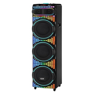 NDR-3260 12 pouces <span class=keywords><strong>Kara</strong></span> Mobile haute puissance haut-parleur RGB LED éclairage Mini pour scène KTV carré danse Audio et usage domestique - Product Image 4