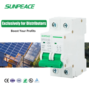 Disjoncteur miniature Dz47 125A AC/DC, 80A, 100A, 125A, 6KA, 10KA, 240V, 415V, 1, 2, 3, 4 pôles pour système solaire photovoltaïque - Product Image 1
