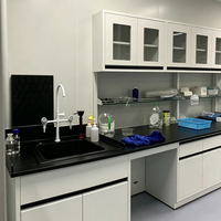 Table d'expérimentation murale avec armoire latérale suspendue et rangement intégré pour laboratoire