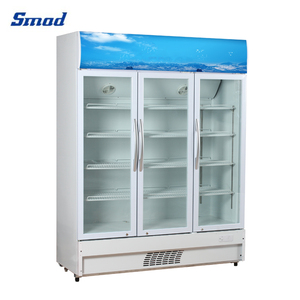 Refrigeradores Exhibidores con Puerta de Vidrio Transparente para Supermercados, Modelo DSS-268AP - Product Image 3