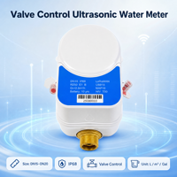 Compteur d'eau intelligent à lecture à distance basé sur l'IoT, ultrasonique, DN15 DN20, NB-IoT 4G LoRaWAN, sans fil, contrôlé par vanne, pour eau domestique