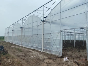 Grande serre agricole Construction en film d'acier avec couvercle en verre Cultiver des légumes Fruits Fleurs Serres connectées - Product Image 4