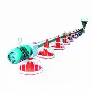 Small automatic feeding line for breeding chickens auger feed system for poultry