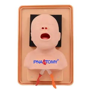 Neonate Trachea Intubation Training Model Oral and Nasal Intubation Baby Care Infant Manikin Human Anatomical Model Medical