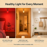 Ampoule LED à spectre complet avec lumière orange et rouge 1600K 625-630nm, contrôle par interrupteur mural 3 couleurs, culot A19 E26/E27