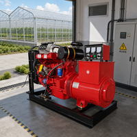 Générateur diesel 40 kVA 50 kVA à prix d'usine, alternateur sans balais en cuivre pur, groupe électrogène triphasé pour usage industriel