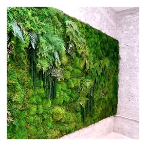 طحلب وحزاز خالٍ من Linwoo ، جدار نباتي منظر طبيعي ، نبات أخضر اصطناعي بحجم أراضي نباتية
