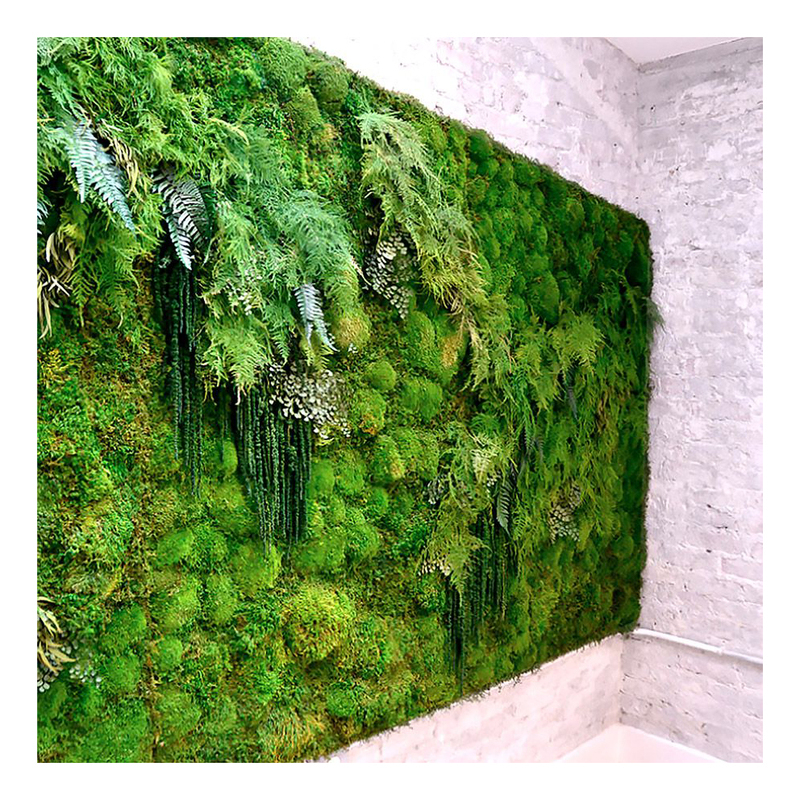 Linwoo Free Size Mosses and Lichen