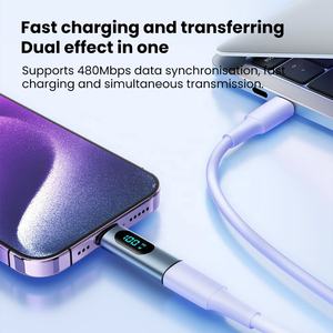 2.0 USB C OTG PD 100W convertisseur LED affichage adaptateur connecteurs tout neuf pour MacBook iPhone 15 Pro Max pour <span class=keywords><strong>Samsung</strong></span> S23 Mobile - Product Image 3