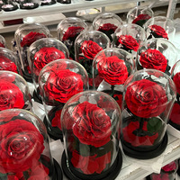 Fleurs roses éternelles Roses naturelles fraîches conservées Dôme en verre LED pour la fête des mères Saint Valentin Style romantique pour les festivals