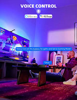 Smart Wifi Rgbic Led Immersion TV rétro-éclairage avec caméra lumière ambiante synchronisation avec TV