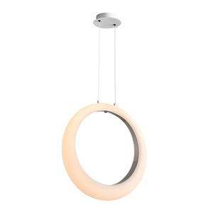 Modern Minimalist Nordic Pendant <b>Light</b> Postmodern Creative Art Design for TV Wall Bedroom <b>Dining</b> & Living Room As Bedside Lamp - Product Image 3