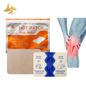 Bitkisel Sıcak Bant Sıcak ve Soğuk Bant Terapi Paketi Artrit Kas Ağrısı ve Eklem Terapisi Sırt Ağrısı için Sporculara Özel - Product Image 1