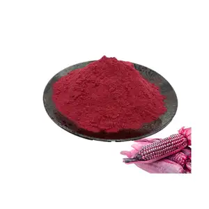 High Quality Corn Seed Extract 5% Anthocyanin Powder Purple Corn Extract Anthocyanin Powder