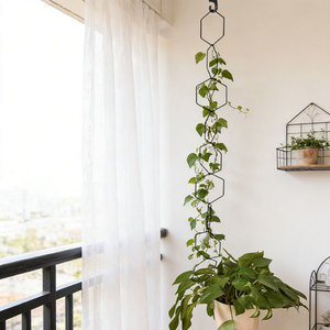 Wrought Iron Plant <b>Trellis</b> XH26-027 Rustproof Hexagonal Garden Support For Climbing <b>Flowers</b> Outdoor Use - Product Image 3