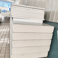 Panneaux isolants en acier PU pour système de chambre froide, conteneur de congélation, stockage, efficacité thermique, économie d'énergie, bâtiment ignifuge