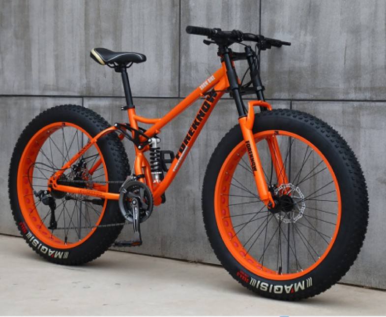 Basikal Topaz Folding Bike Price Cheap Second Hand Folding