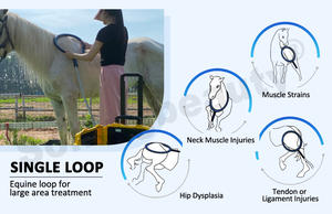 2025 नवीनतम इक्विइन पेम्फ मैग्नेटो थेरेपी पशु दर्द में कमी और चोट की वसूली के लिए पोर्टेबल हॉर्स केयर उपकरण - Product Image 4