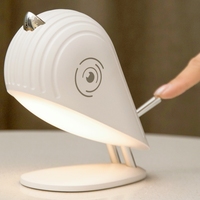 Mini lampe moderne rechargeable LED pour oiseaux, lampe de chevet créative pour la maison avec alimentation CC réglable sans fil