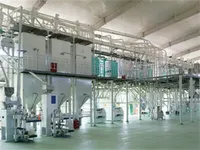 Machine à moudre le maïs 50-100 TPD, usine de production de farine de maïs, ligne de traitement de la farine de maïs, moteur facile à utiliser, certifiée ISO9001/CE