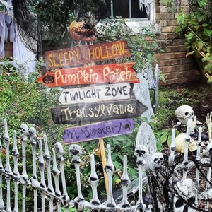 Décorations de jardin directionnelles effrayantes pour Halloween avec toiles d'araignées en PP, découpées sur mesure pour les fêtes d'Halloween - Product Image 1
