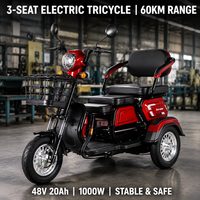 Tricycle électrique 3 places pour seniors, moteur 48V 600W/1000W, autonomie 31-60KM, cadre en acier haute teneur en carbone, pneus sous vide 300-8, trike électrique