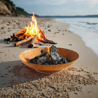 Table et foyer extérieur modernes en acier inoxydable de haute qualité, de grande marque OEM, avec revêtement en poudre, pour cuisson au gaz/propane en extérieur