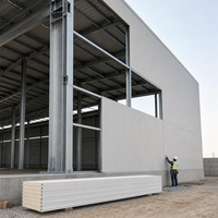 Bâtiment d'entrepôt à structure en acier avec options galvanisées pour le stockage industriel et l'utilisation en atelier