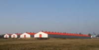 Etablissement de volailles pour poulailler agricole 10000 Salle d'élevage de poulets de chair Hangar mobile Poulailler Ferme avicole