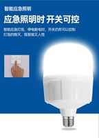 Ampoule LED portable multifonctionnelle 80W/100W DC E26/E27, dimmable, Ra80, 6000K, lumière du jour, longue durée de vie 50000 heures, batterie rechargeable