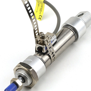 Cilindro Neumático de Acero Inoxidable con Soporte para Interruptor Magnético y Montaje con Abrazadera para Cables - Product Image 1
